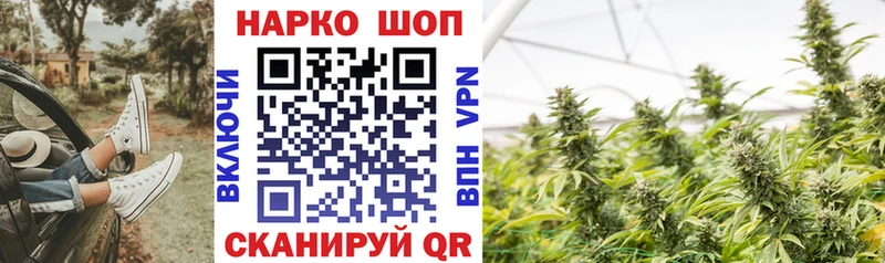 Купить закладку МЕТАМФЕТАМИН  Меф  Alpha-PVP  Гашиш  АМФЕТАМИН  КОКАИН  Каннабис  Сычёвка