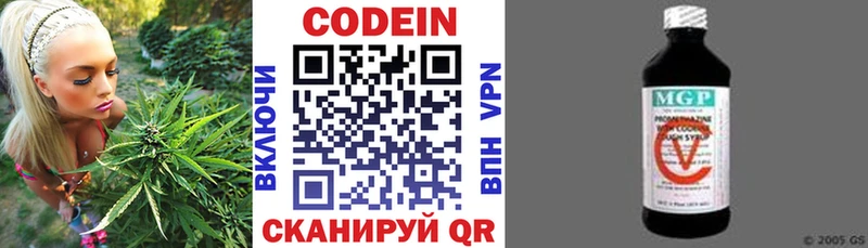 Купить закладки  Сычёвка  Codein Purple Drank 