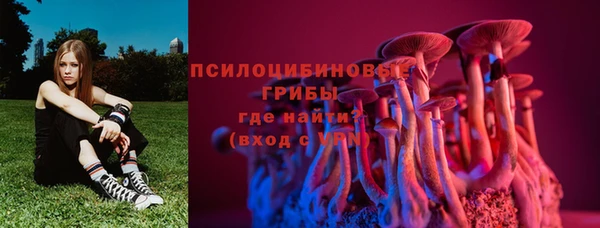прущий лед Аркадак
