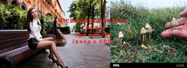 тгк Алзамай