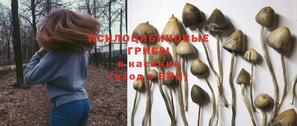сатива Балабаново