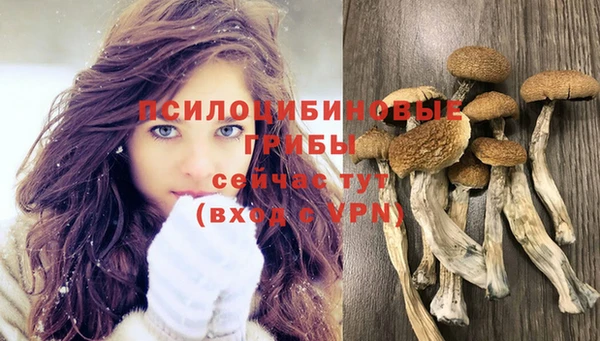 прущий лед Аркадак