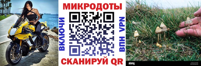 Псилоцибиновые грибы Psilocybine cubensis  Купить где  Сычёвка 